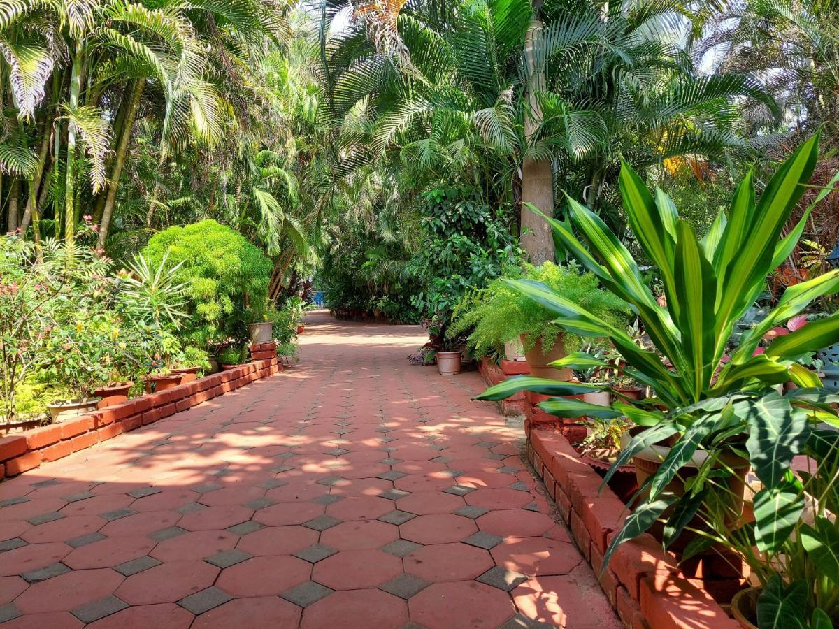 Palm Grove Cottages - Leisure Resort Benaulim Luaran gambar
