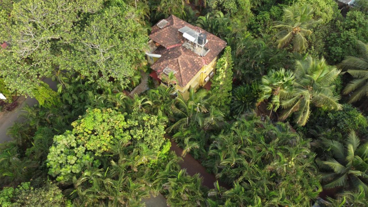 Palm Grove Cottages - Leisure Resort Benaulim Luaran gambar