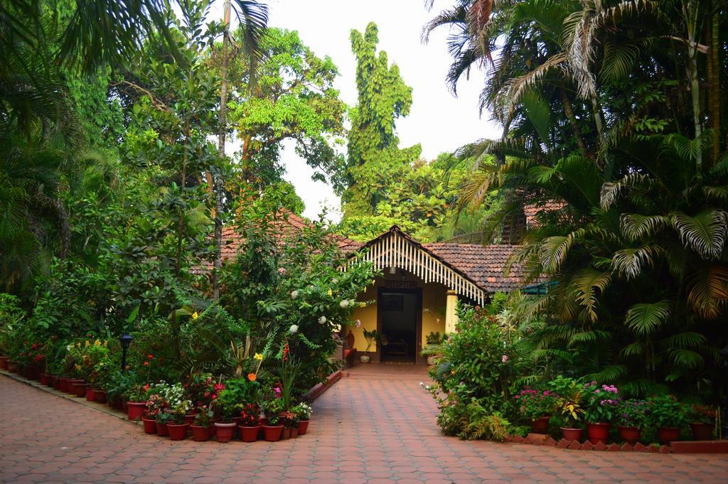 Palm Grove Cottages - Leisure Resort Benaulim Luaran gambar