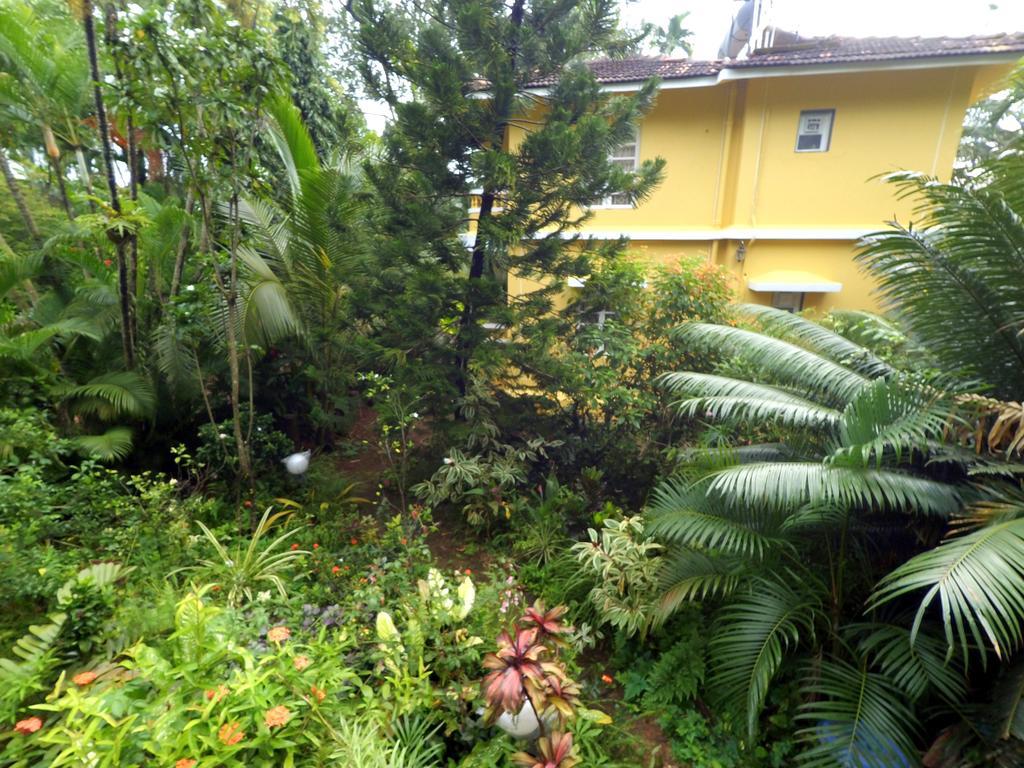 Palm Grove Cottages - Leisure Resort Benaulim Luaran gambar
