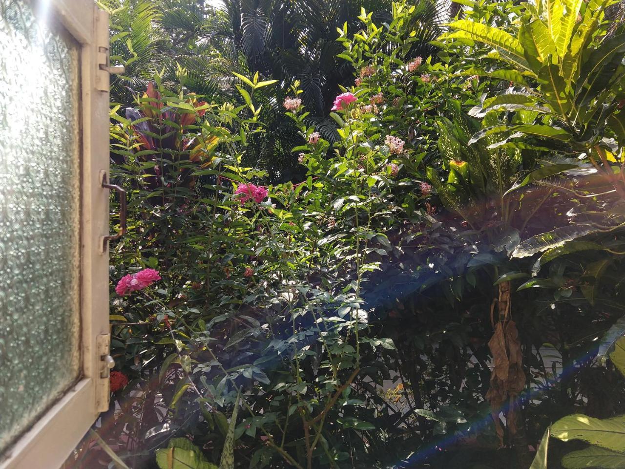 Palm Grove Cottages - Leisure Resort Benaulim Luaran gambar
